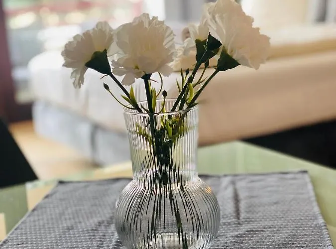 公寓 Haus Am Hs 716 S