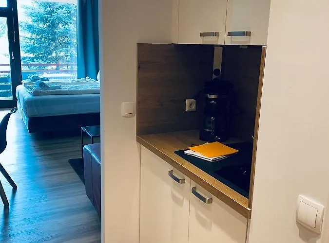 公寓 Haus Am Hs 716 S 戈斯拉尔