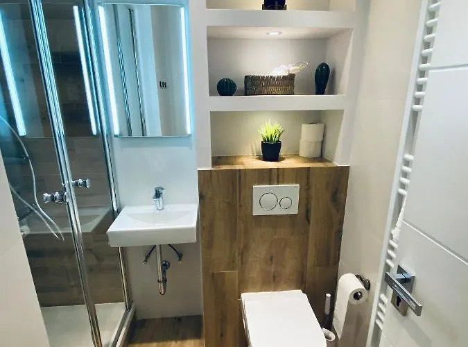 公寓 Haus Am Hs 716 S 戈斯拉尔